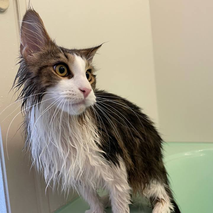 21141189 55eb 4b14 b098 f591ab4e02be 1640168172295