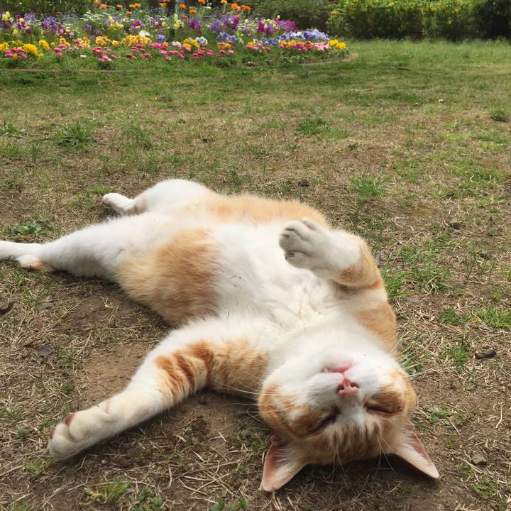 21141d62 31da 4976 ad6f 44c85f8ece4d 1586245610548