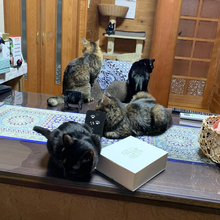 211423d2 ecca 447a be17 dc7566f2307d 1644842688281