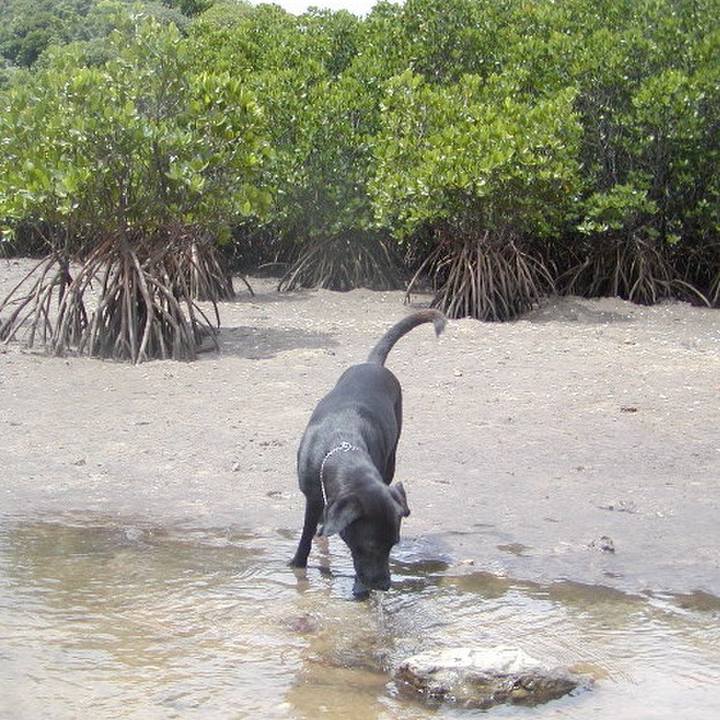 211431d6 e670 4ceb a652 e76f21ee85bc 1521688551310