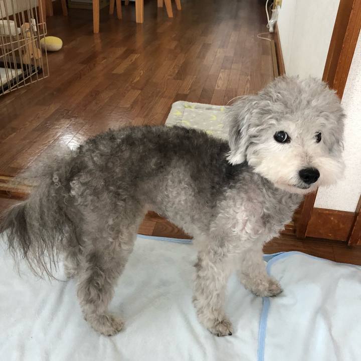 211451af ce56 41e0 880b 5049a6bb4850 1532957235846