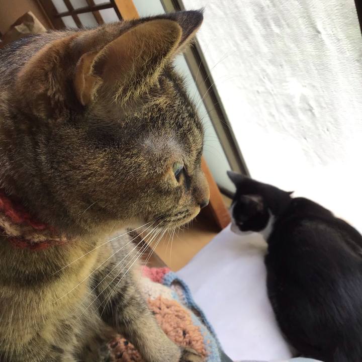 211496fb 43b7 413d bd77 bb884937e18c 1630987406139