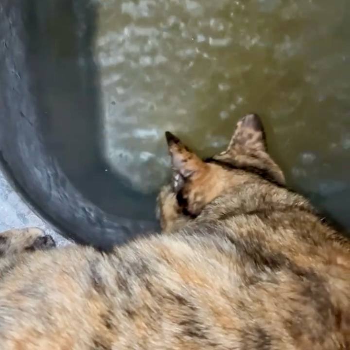 21149a51 3b13 4342 97a8 05574e2e4938 1771619810244