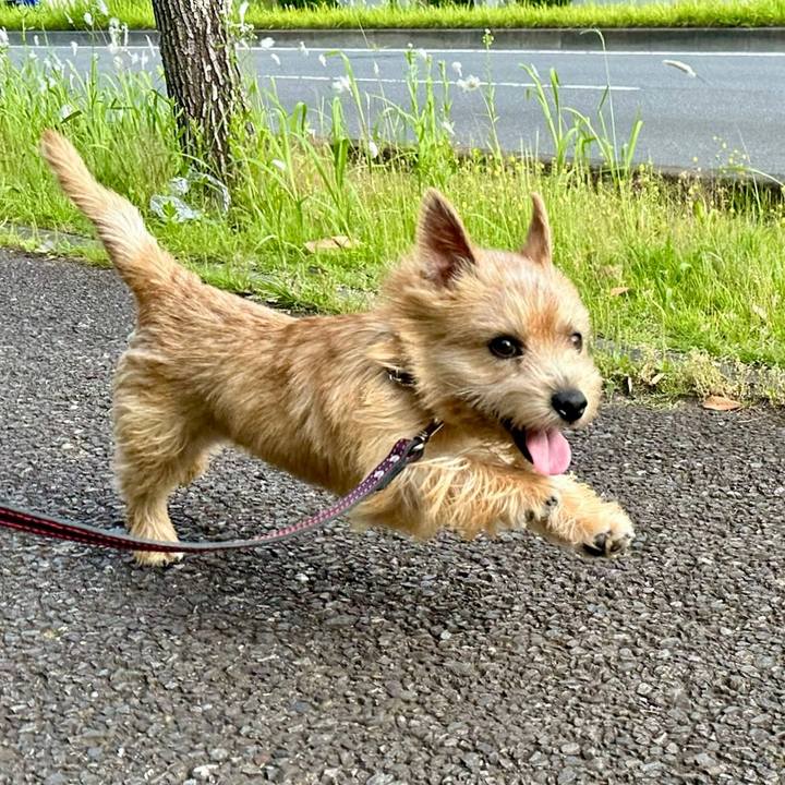 2114b0ed 3c4b 48fe 8615 851777a20e16 1716370690096