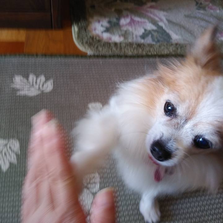 211510d2 b85b 497a baf6 f3adb2ab4530 1536367010330