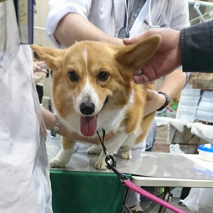 21153bcc bcbb 4473 a1c5 0eeb98bd30a0 1522554257268