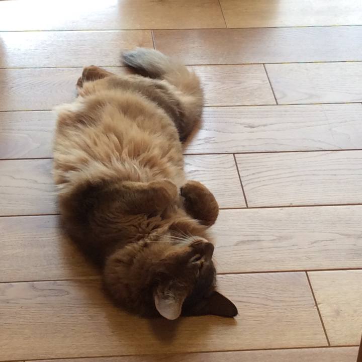 21156d3a d48a 4ffd 91e9 240b15c9bea0 1594969382662