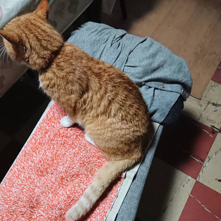 2115a63e 8f90 4c91 8761 187b56495516 1577746022671