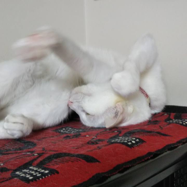 2115b76d 8a8b 480f afc7 0d33efede524 1635591419184