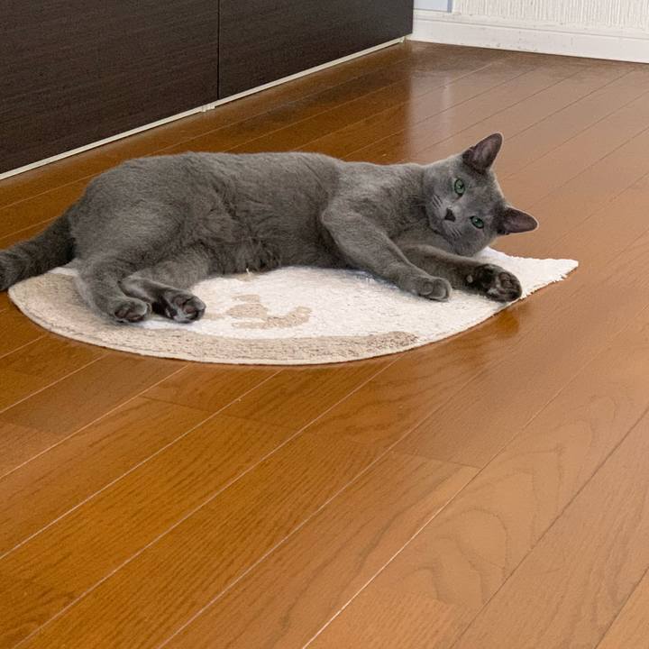 2115dfa3 2f2e 48d1 a9e3 4d68bb61352d 1581475549711