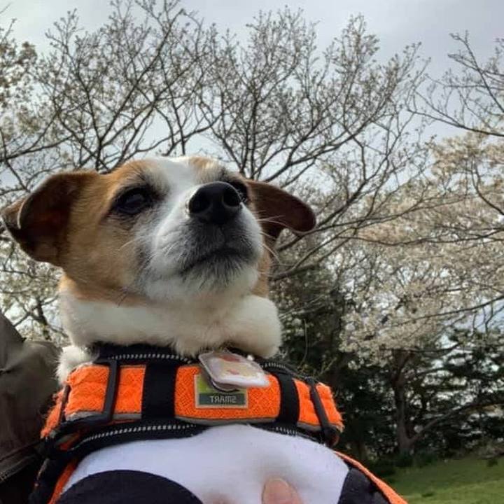 2115f9c5 d05e 4b76 8c20 31e0f97f9f60 1742911650973