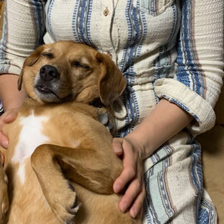 21160446 505c 4b6a 86ba 81d6b97c58cd 1562657070137