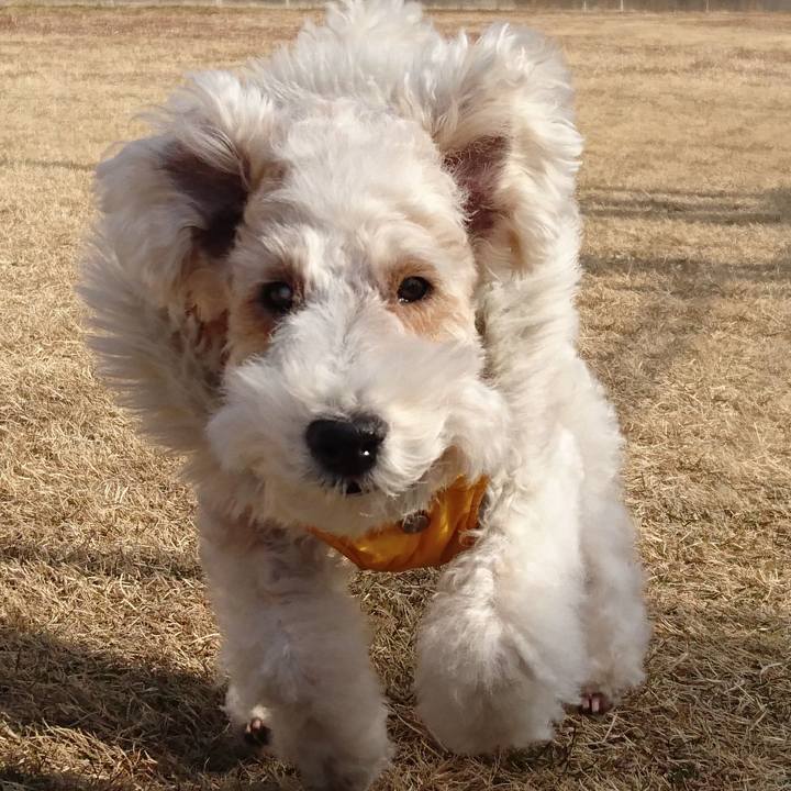 21160651 cf05 4785 99ee 0ab662b6fbdc 1518829875923