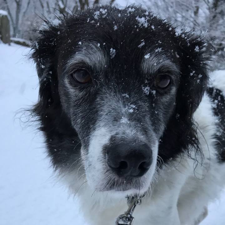 21164ce2 a6be 4cd3 bfcf 7af66a4a5835 1515129787275