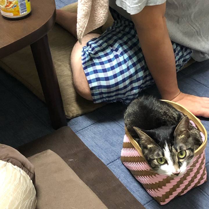 211690af 8d7a 4bd8 b1fc 8cc5da948f27 1565534169374