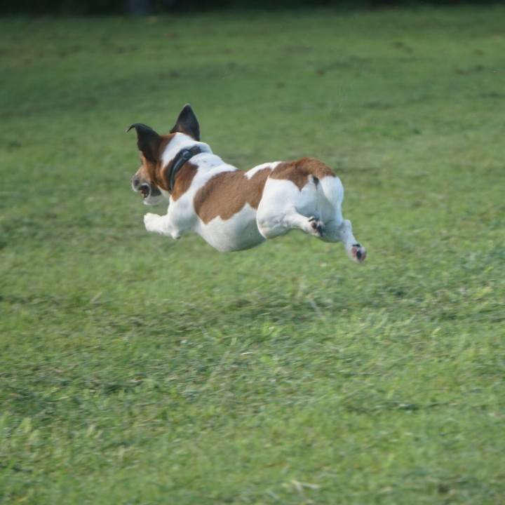 21169b11 e03b 4bd9 a583 1566f51d7e4c 1599779964672