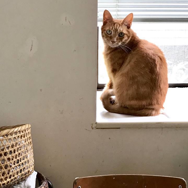 21169ff8 1e91 4c6e acc6 b3cc5b23f6c6 1566548871553