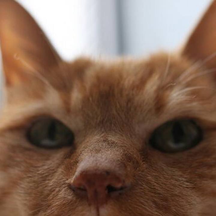 2116bddb 09c9 4619 b352 95ac3a84dc6d 1512829314641