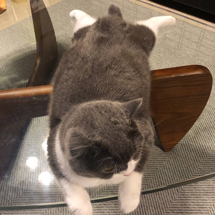 2116dbb4 2091 41da bde6 c53f48fbb695 1564412241158