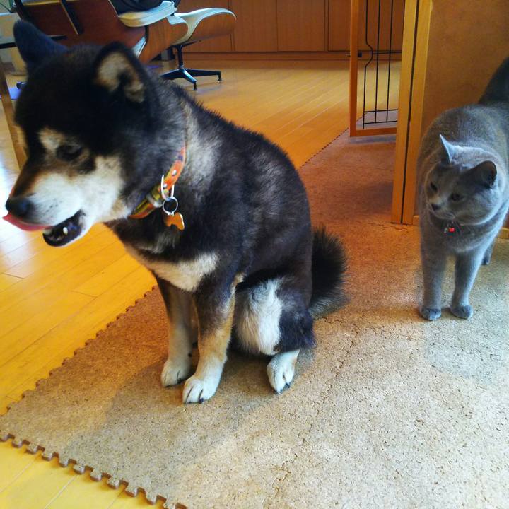 2116e367 9e89 43c9 8222 9c7102daba2c 1524556501344