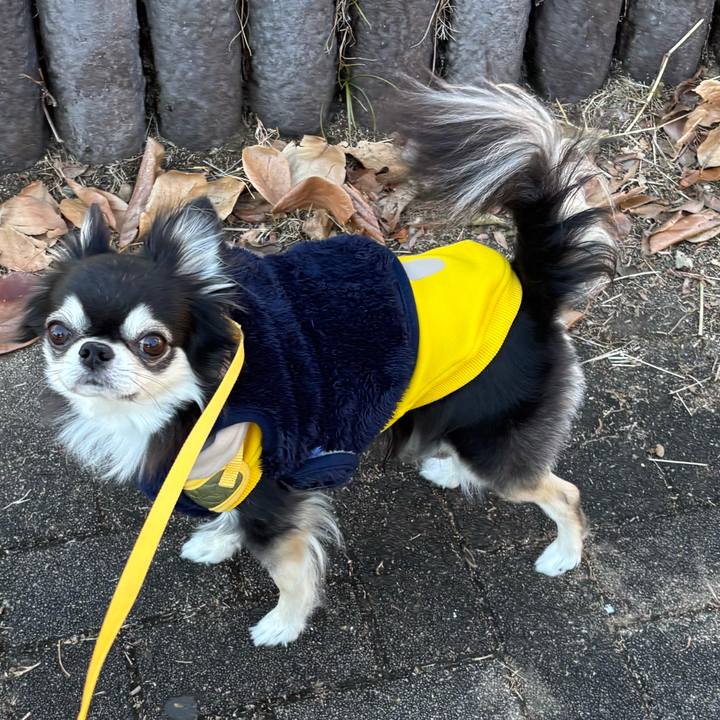 21170aea af73 4d03 b700 63bfb3bdfe42 1736784064156