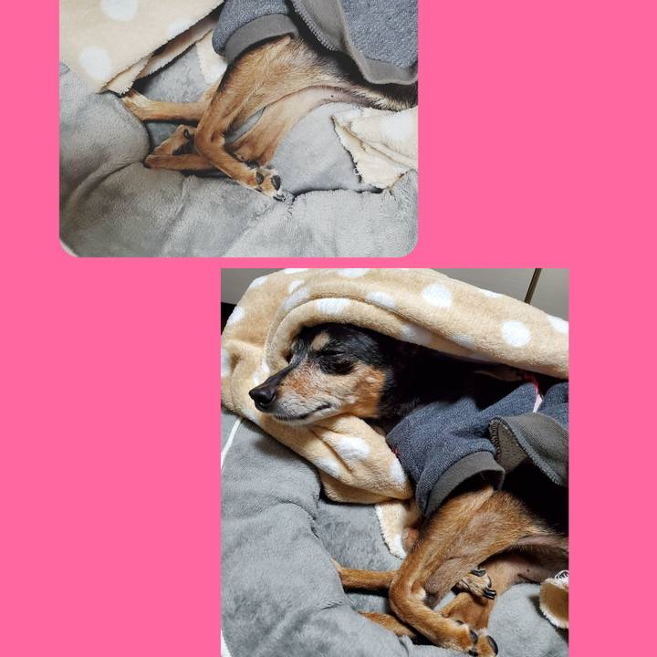 211720a6 317c 4eca aaa4 82662ec61bf5 1669902499809