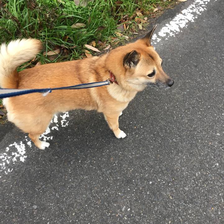 21174d0a 0e7d 414b b243 0c651053c555 1512817430655