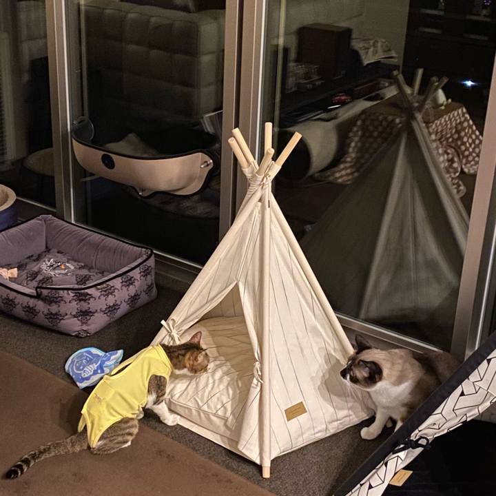 21175754 3577 437e 97fb 1672c4ab9469 1591788566314