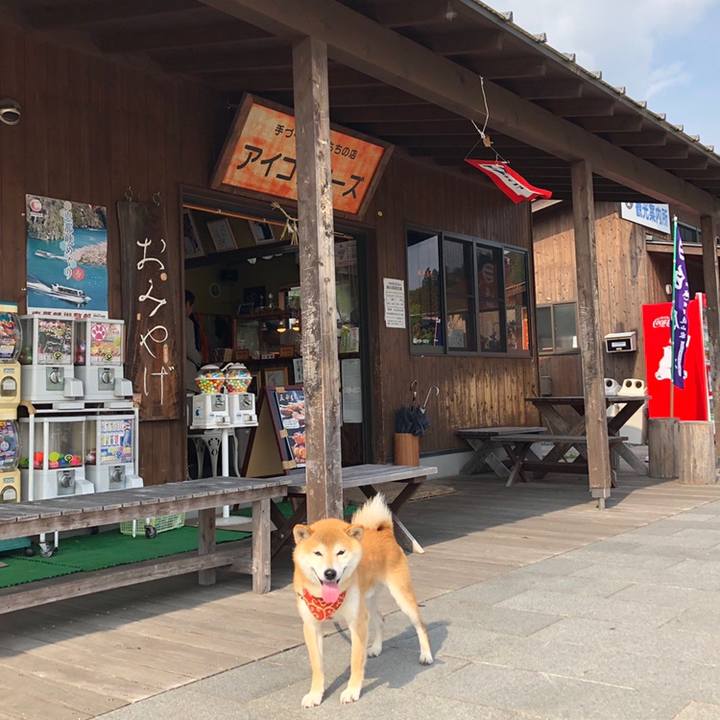 211767aa 8596 4b76 b98e 74f4c59884ab 1559548553017