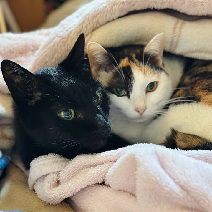 211791ce 0b31 42fa 8188 5d725cedd4f6 1707875991814