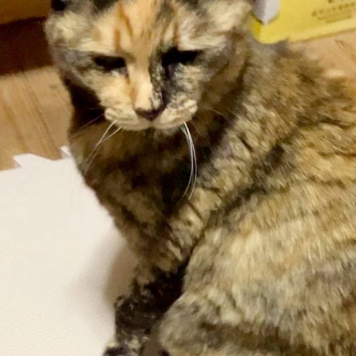 2117924a 26a6 4749 b982 10f51f23003f 1743448968062