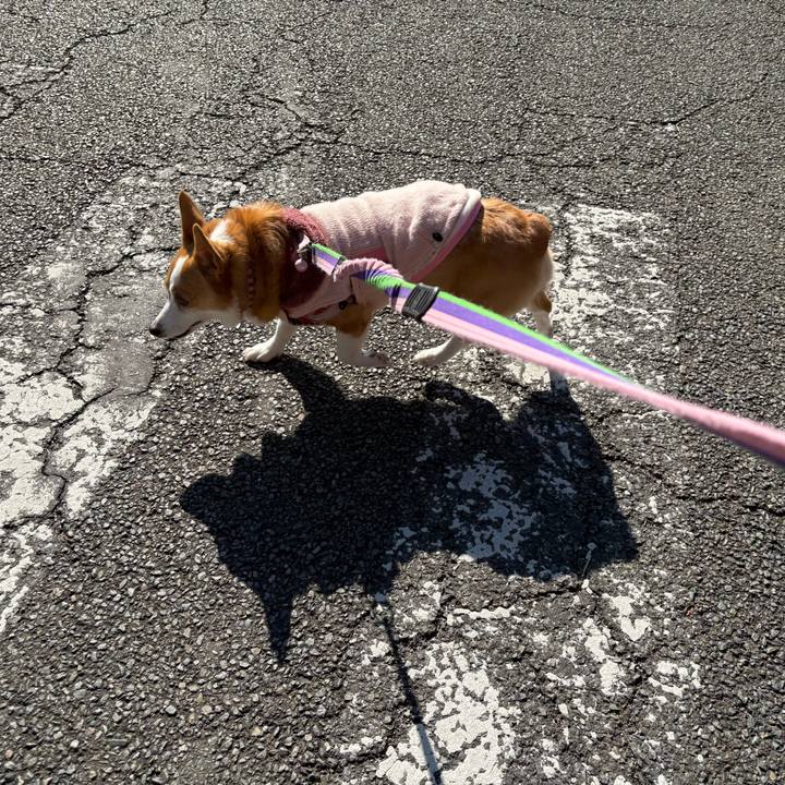 2117bc76 5247 4b48 a3eb 2d4ff6b9d838 1768024048036