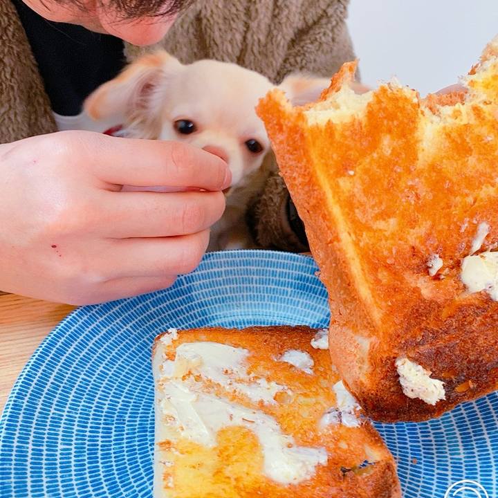 2117bd51 784d 486e 883d ab5de29345e6 1613783730540