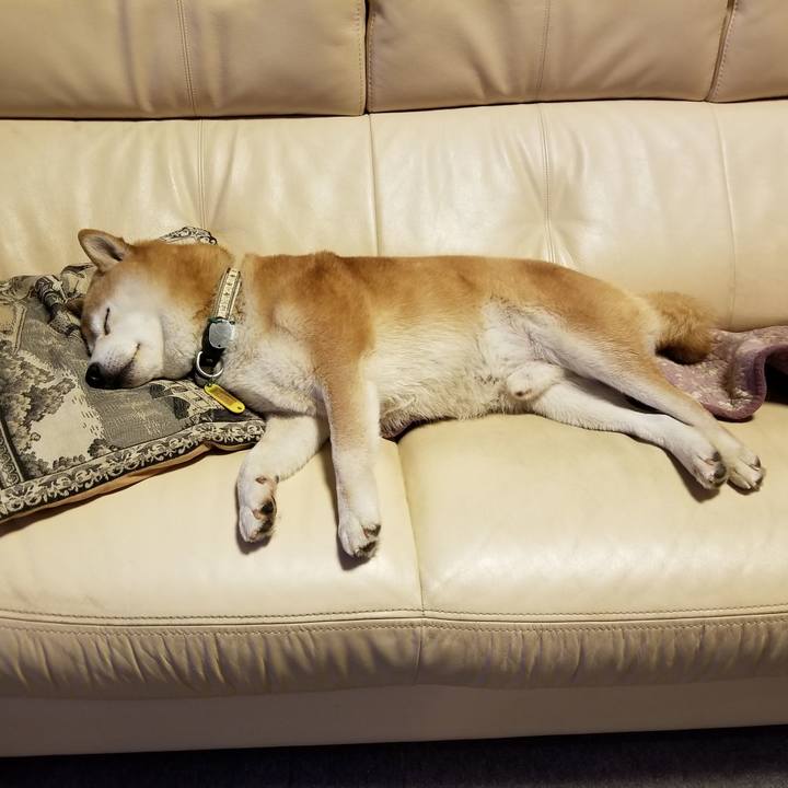 2117c9f6 b895 477e ace0 30c4e9bcdcd3 1639824915276