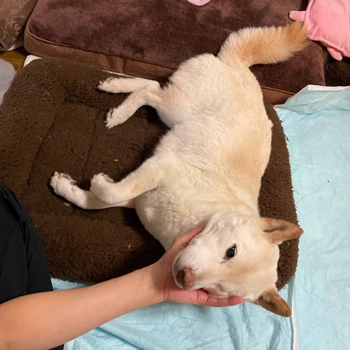 2117ccc7 0517 49bd 95ab cda9d4dc3682 1636700629011