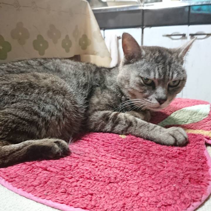 211814bd 0fc6 4b62 a05a 2a44043d28d4 1564137079044