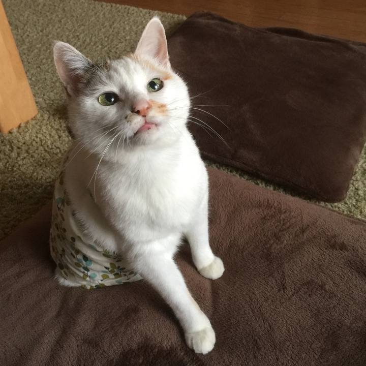 21182615 406f 4762 b4b4 aa9a2fce2091 1516358244743