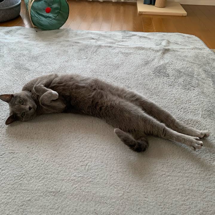 21185f13 b9f4 4bc8 9722 37c2c6529f38 1649415605503