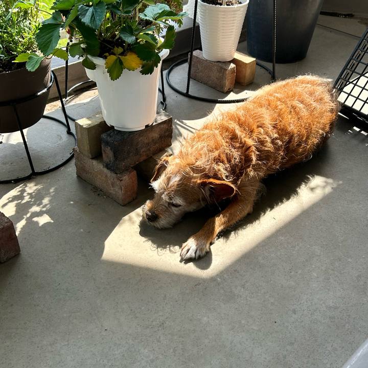 21189916 ff47 4aec 98b5 2876f1042452 1720419616370