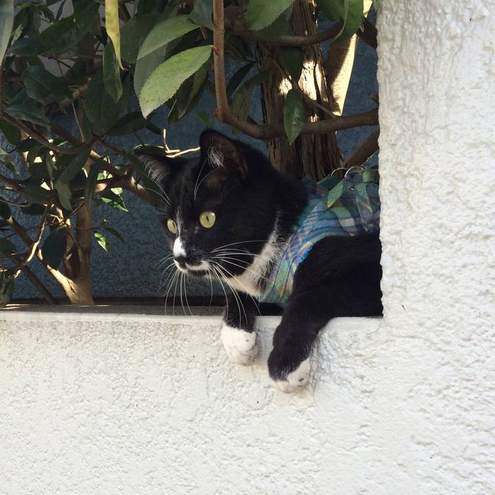 21189e31 525e 4ccc 971c 6cc918768b93 1515556431085