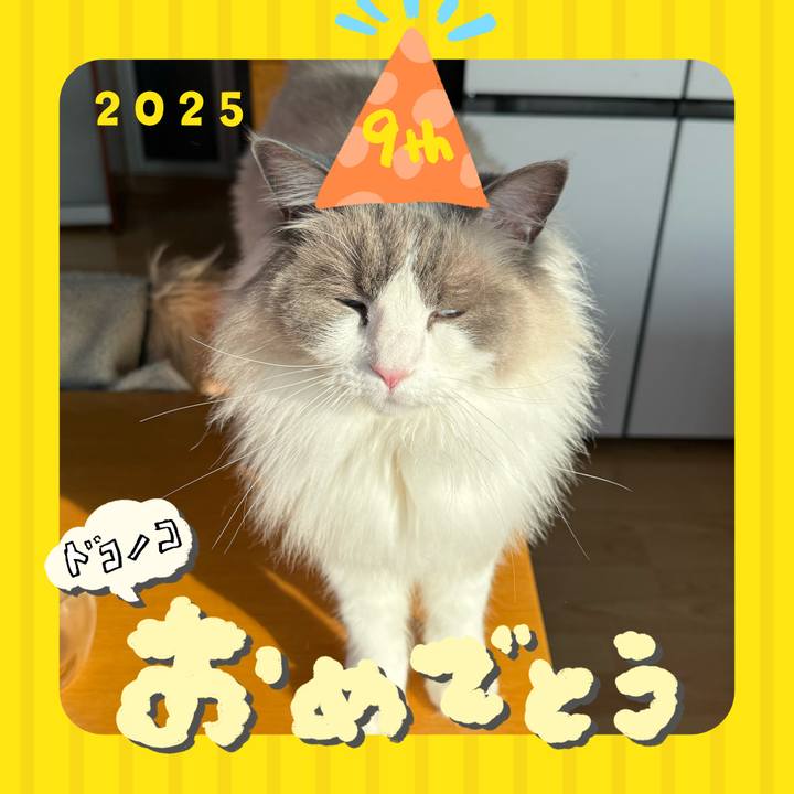 2118a079 2339 407e 8f23 f1df610aa5ce 1749285360105