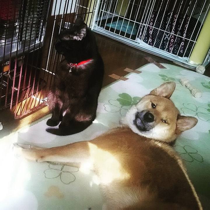 2118a838 8ba9 4ad1 901f 450b50cda57b 1520770257022