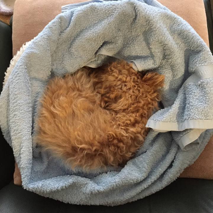 2118a87b db51 491a 9d3a c4c82599c4d9 1525076851778