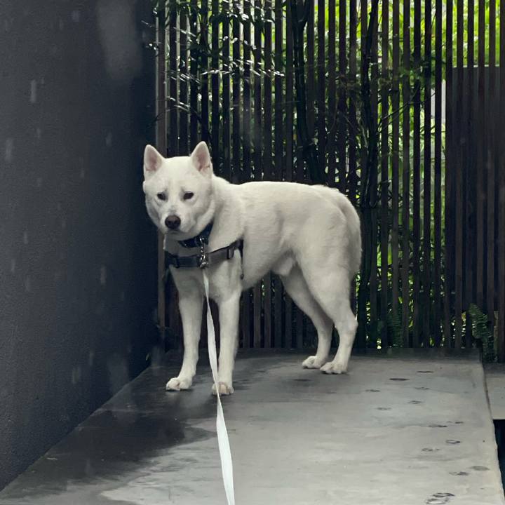 2118df8c c249 400b b5b8 46ce24feb6e5 1654428784806