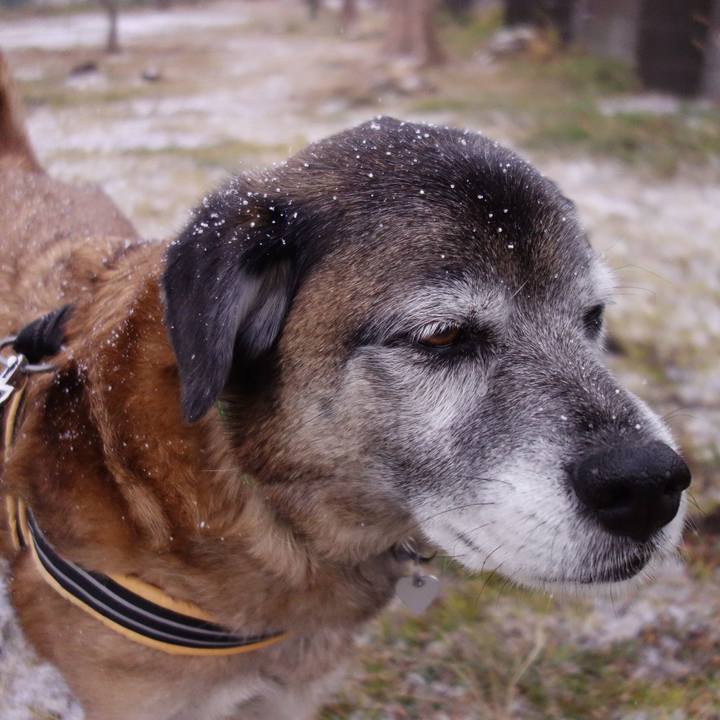 2118e854 e388 47c0 b092 edd1b91836e7 1549689616823