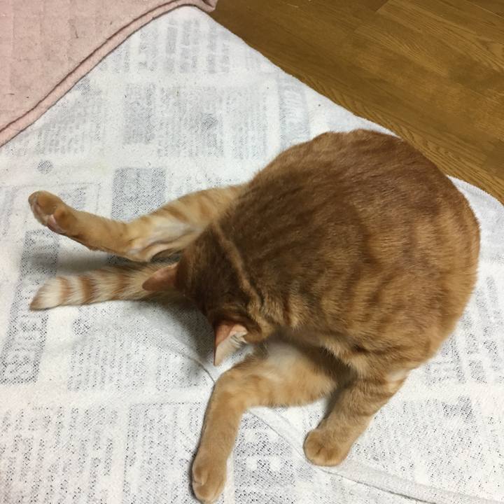 2118e87a 8641 415d b8b4 9d07d38bea28 1549455696358