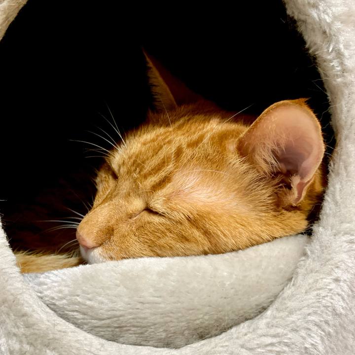 2118fadf b900 47fa b1ac 90d109107fa7 1629002714289