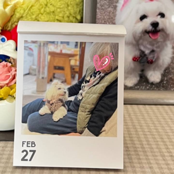 21190eb4 0ea4 4907 abe4 fc28088db001 1772197563096