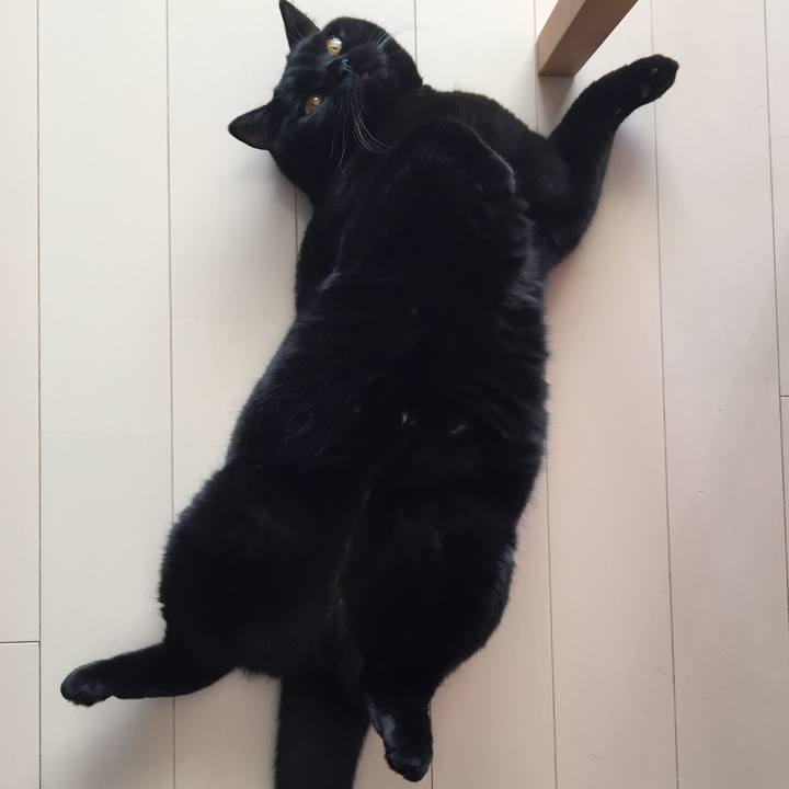 211925be 56cb 453e 819a 31ffd761ca2c 1511760264590