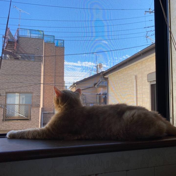 211949b5 81cb 4f2c b409 96d359cb3774 1660956993897